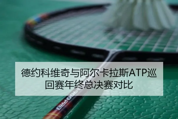 德约科维奇与阿尔卡拉斯ATP巡回赛年终总决赛对比